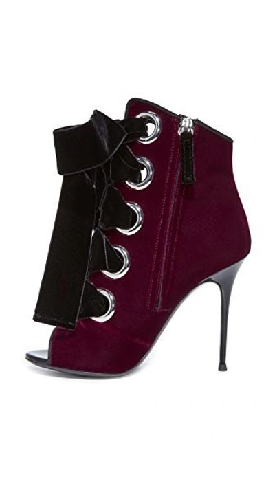 Shop Giuseppe Zanotti Mistico Booties In Burgundy