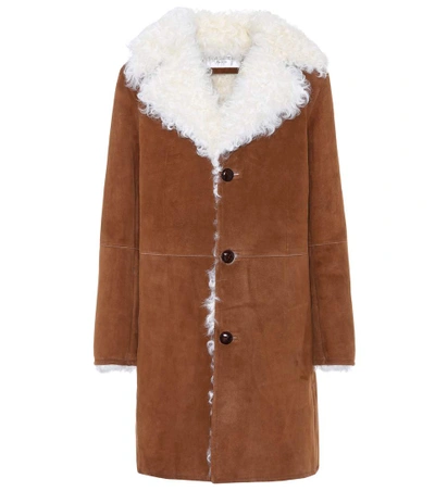 Shop Saint Laurent Fur-lined Suede Coat In Camel Foece