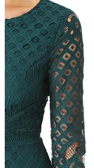 Shop Cupcakes And Cashmere Spence Fitted Lace Dress In Forest Green