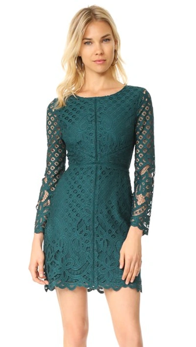 Cupcakes And Cashmere Spence Fitted Lace Dress In Forest Green