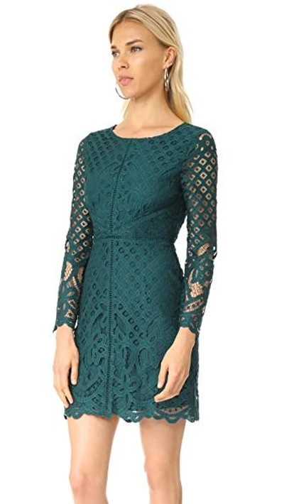 Shop Cupcakes And Cashmere Spence Fitted Lace Dress In Forest Green