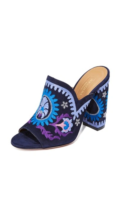 Aquazzura Evie 115 Floral-embroidered Mules In Ink