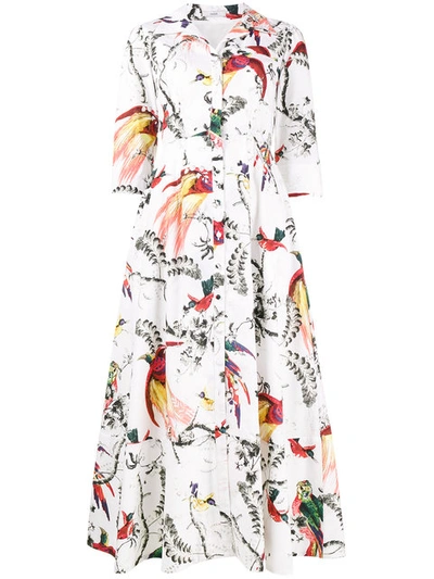 Shop Erdem Kasia Parrot Print Dress