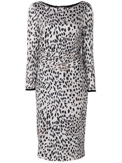 Roberto Cavalli Belted Long-sleeve Cheetah-print Dress, Neutral