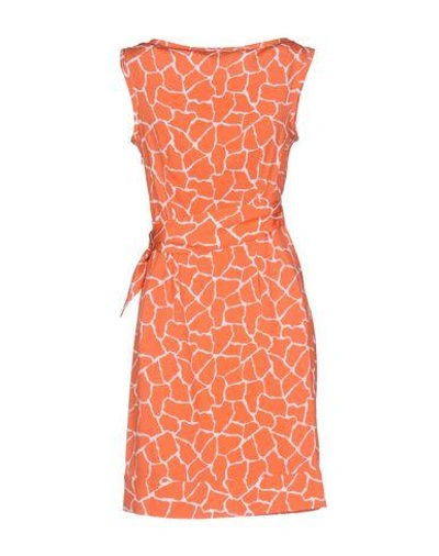 Shop Diane Von Furstenberg Short Dress In Coral