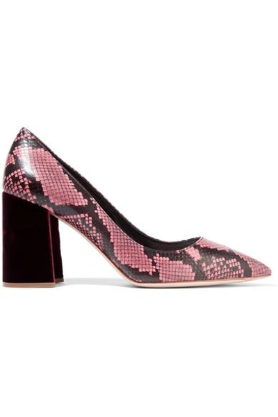 Shop Miu Miu Velvet-trimmed Snake Pumps