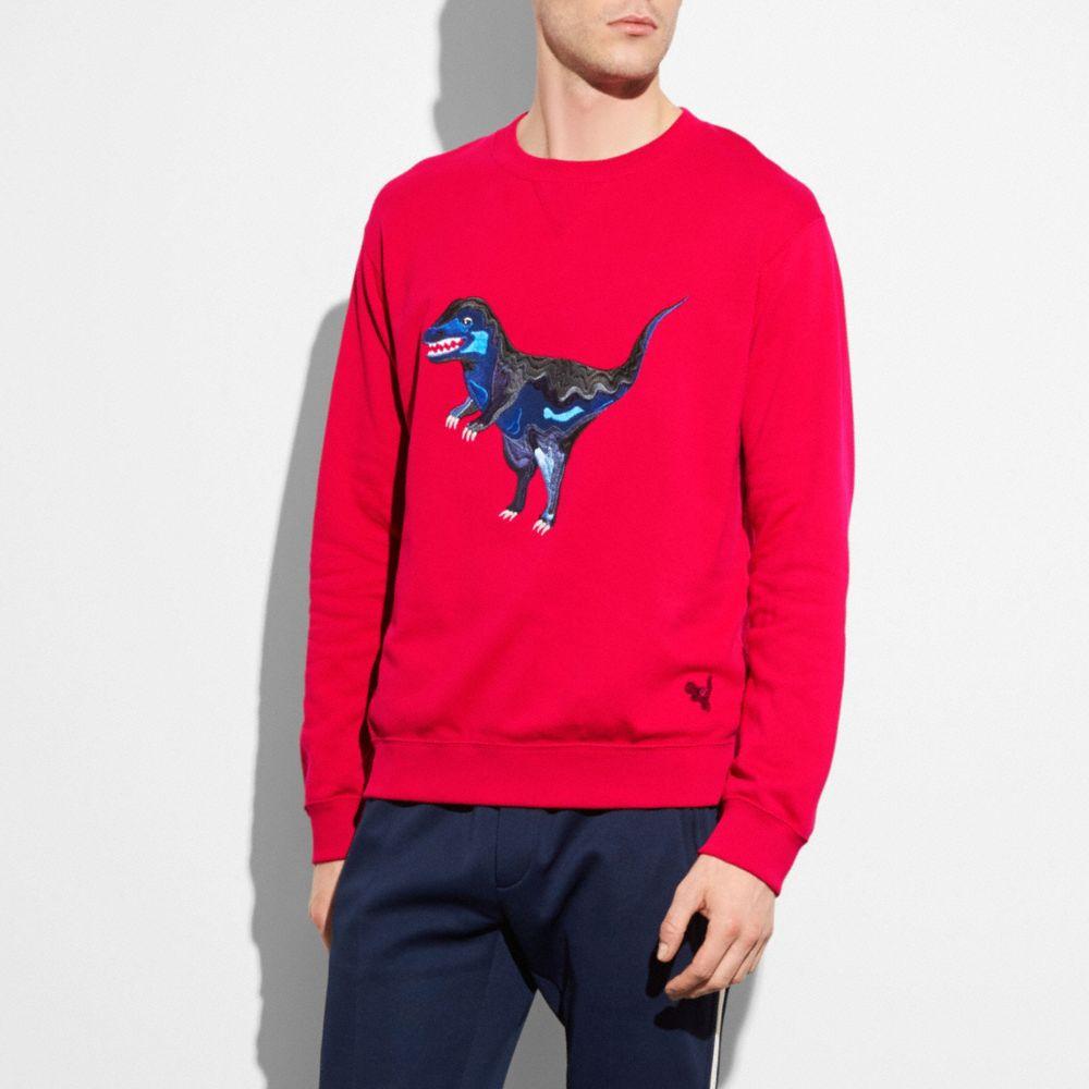 coach dinosaur sweatshirt