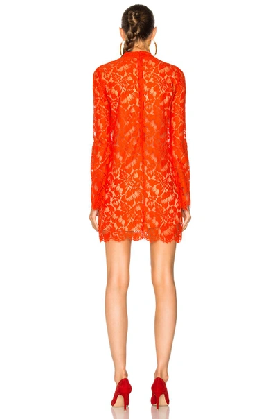 Shop Stella Mccartney Cayla Lace Mini Dress In Gypsy Red