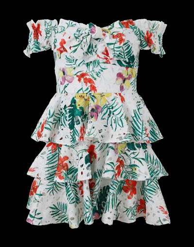 Shop Caroline Constas Helene Ruffle Lace Dress In Wht-mult