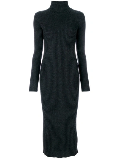 Iro Ribbed High Neck Dress