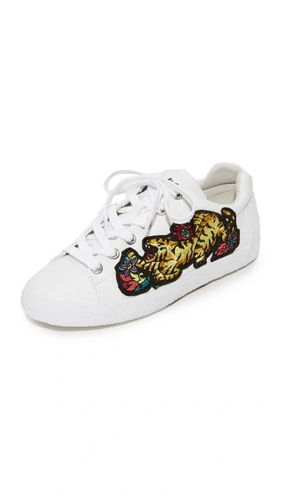 Ash Niagara Embroidered Leather Trainers In White Leather