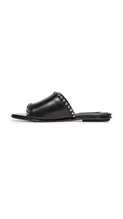 Shop Alexander Wang Leidy Sandals In Black