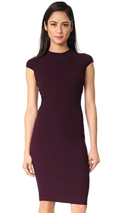 Shop Bailey44 Releve Sweater Dress In Tinto
