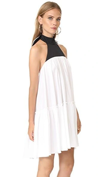 Shop Caroline Constas Bo Dress In White/black