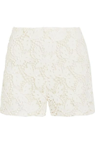 Shop Valentino Cotton-blend Guipure Lace Shorts