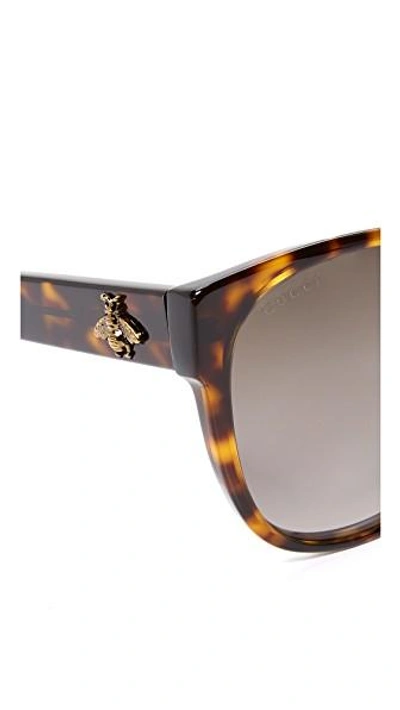 Shop Gucci Sensual Romanticism Cat Eye Sunglasses In Dark Havana/brown