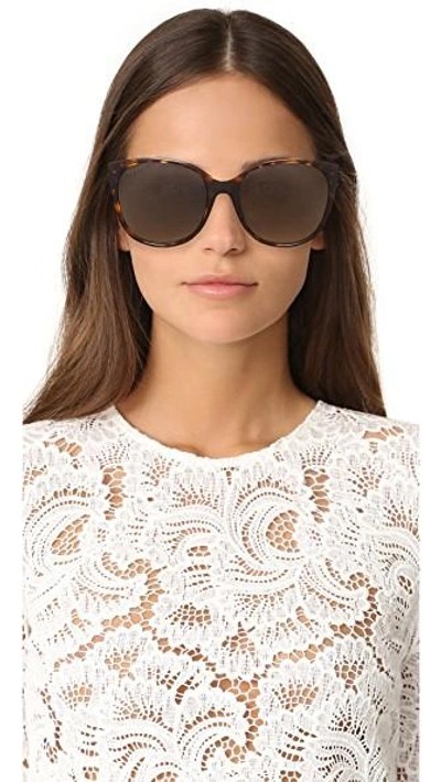 Shop Gucci Sensual Romanticism Cat Eye Sunglasses In Dark Havana/brown