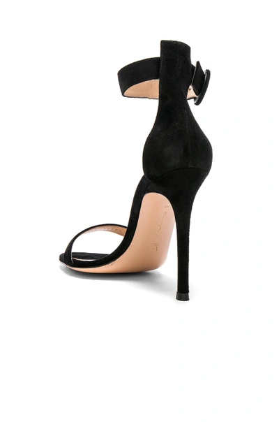 Shop Gucci Suede Portofino Heels In Black