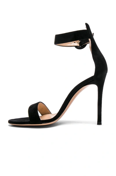 Shop Gucci Suede Portofino Heels In Black