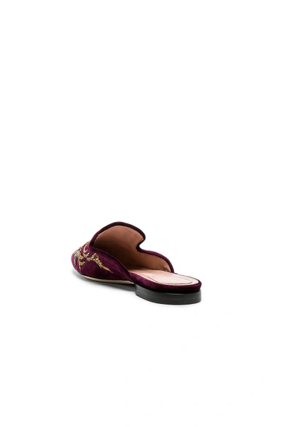 Shop Alberta Ferretti Velvet Embroidered Mules In Burgundy