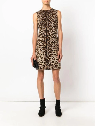 leopard print shift dress