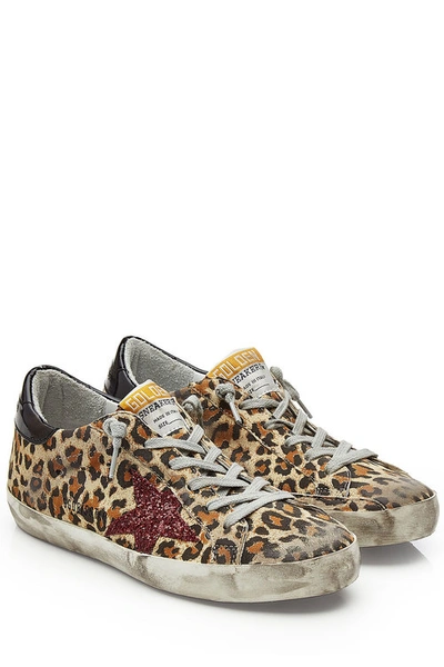 Golden Goose Super Star Leather Sneakers In Animal Print