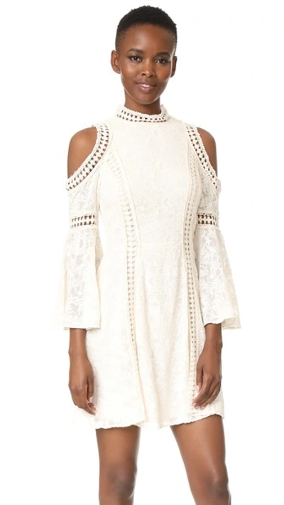 Shop Alice And Olivia Enya Cold Shoulder Dress In Cream