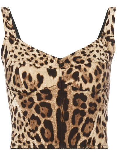 Shop Dolce & Gabbana Leopard Print Bralet Top