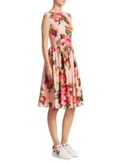 Shop Dolce & Gabbana Floral Cotton Dress In Blush Base Floral