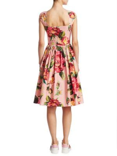 Shop Dolce & Gabbana Floral Cotton Dress In Blush Base Floral