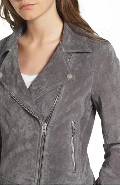 Shop Blanknyc Suede Moto Jacket In Silver Screen
