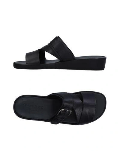 Harrys Of London Sandals In Black