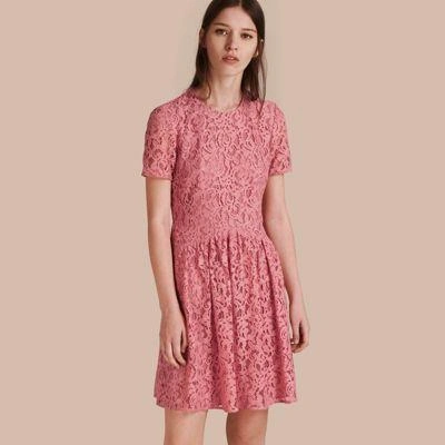 Shop Burberry Fit-and-flare Dropped-waist Lace Dress In Antique Rose