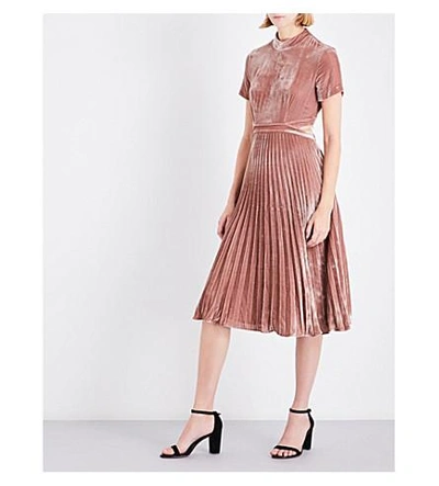 Shop Whistles Alexandra Velvet Dress In Pink