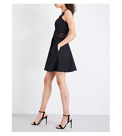 Shop Ted Baker Monaa Lace-trimmed Cotton-blend Dress In Black