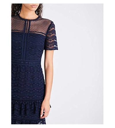 Shop Whistles Indria Lace Dress In Navy