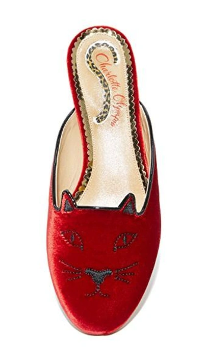 Shop Charlotte Olympia Kitty Slipper Mules In Red/gold