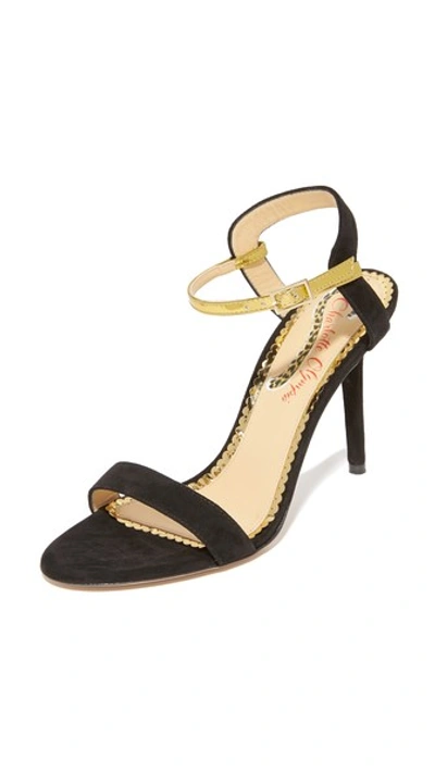 Charlotte Olympia Quintissential Pumps In Black/gold