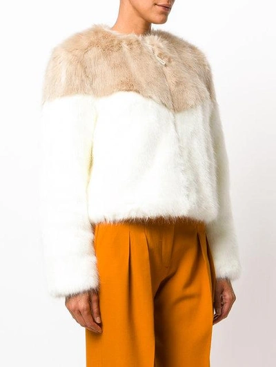 Shop Dondup Contrast Fur Jacket