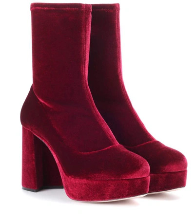 Shop Miu Miu Velvet Plateau Ankle Boots In Red