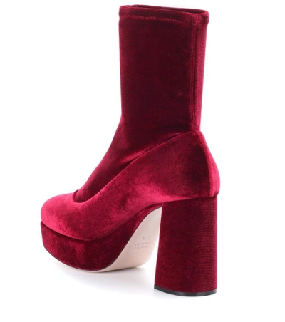 Shop Miu Miu Velvet Plateau Ankle Boots In Red