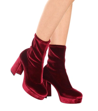 Shop Miu Miu Velvet Plateau Ankle Boots In Red