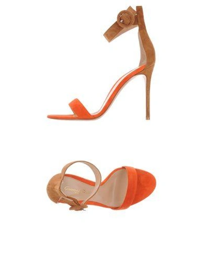 Gianvito Rossi Sandals In Orange