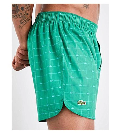 Shop Lacoste Crocodile Check Boxer Shorts In Green Black