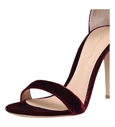 Shop Gianvito Rossi Portofino 105 Velvet Heeled Sandals In Wine Comb