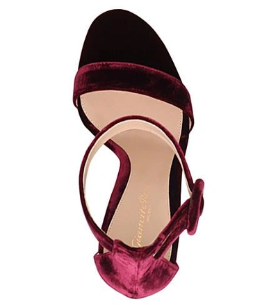 Shop Gianvito Rossi Portofino 105 Velvet Heeled Sandals In Wine Comb