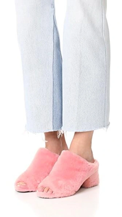 Shop 3.1 Phillip Lim / フィリップ リム Cube Shearling Mules In Candy Pink