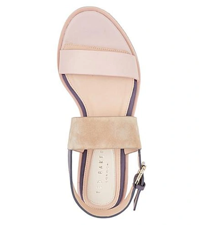 Shop Ted Baker Colour By Numbers Danaeii Strap Detail Flat Sandals In Nude Pink