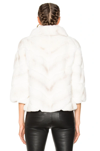 Shop Yves Salomon Rex Quarter Sleeve Jacket In Neutrals,white
