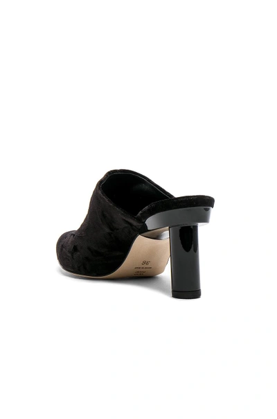 Shop Tibi Zoe Velvet Heels In Black